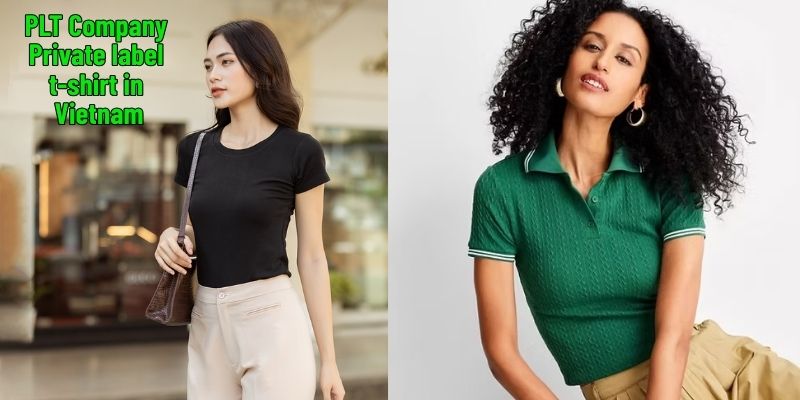 Private Label T-shirt Products | Styles & Ready-to-Brand Options 1 6